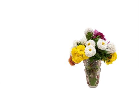 Bouquet of beautiful flowers on white backgroundの写真素材