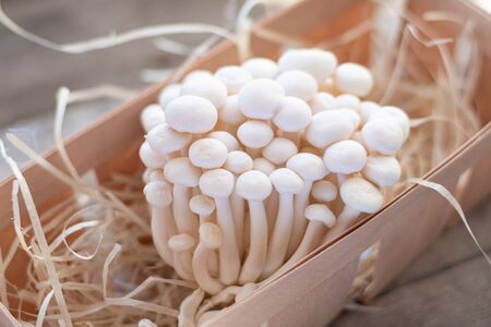 Enoki mushrooms on wooden background, close upの写真素材