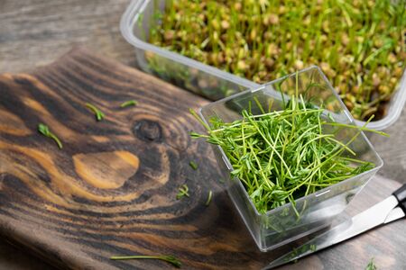 Microgreens. Lentil sprouts on a wooden backgroundの写真素材