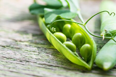 Green fresh ripe pea pod on a wooden desk outdoor in a gardenの写真素材