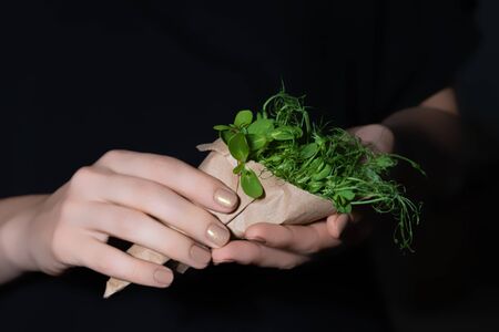 Woman hands holding paper package full of fresh sunflower and peas microgreens sprouts.の写真素材