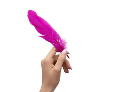 Female hand with rose nail design. Female hand hold pink feather on white background.の写真素材