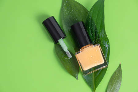 Orange nail polish bottle on green background. Orange nail polish bottle with green leaves. Eco nail design.の写真素材