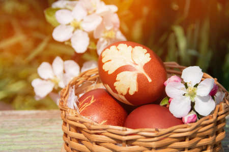 Basket with Easter decorated brown eggs with apricot white and pink flowers. holiday background....