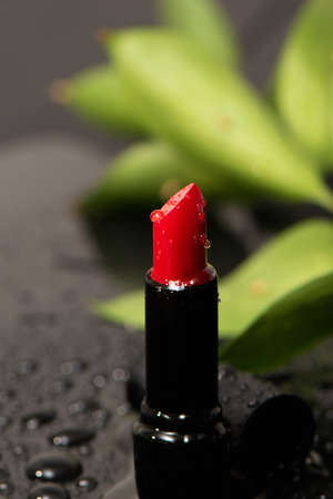 Close up of red saturated lipstick with water drops. Visage and face makeup. Red lipstick with green leavesの写真素材