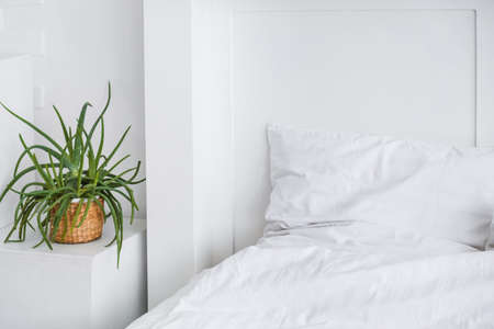 Bedroom interior with white bed and big green indoor flower. White clean bedroom with ready for sleep bedの写真素材