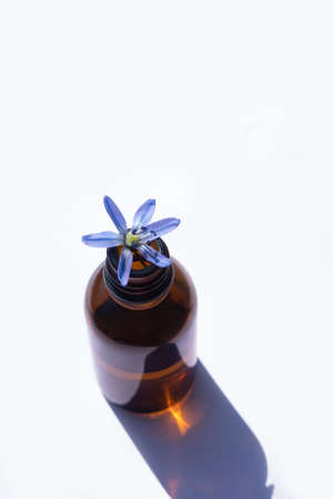 Bottle for essential oil with sharp shadow on a blue background. Essential oil bottle with blue snowdrop flower on topの写真素材