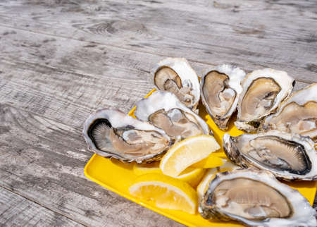 Open Oysters on yellow plate with lemon on sea background. Delicious sea food, fresh oysters with lemon at sea shoreの写真素材
