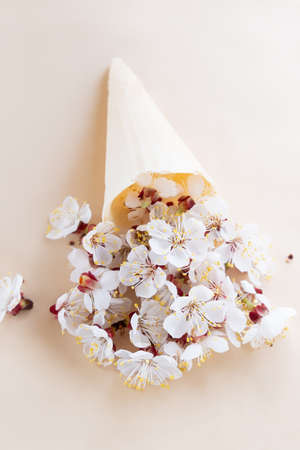 Apricot blossom in tasty waffle glass on pink background. Cherry flower petals in waffle glass on pink backgroundの写真素材