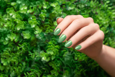 Female hand with green nail design. Glitter green nail polish manicure. woman hand on green leaves nature backgroundの写真素材