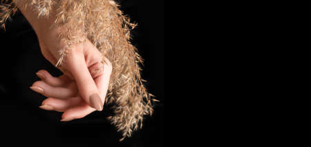 Female hand with beige nail design. Glitter beige nail polish manicure. Woman hand with dry reed flower isolated on black background. copy space.の写真素材