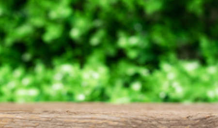 Empty wood table on a green leaves background. Copy space for nature products. green nature blurred backgroundの写真素材