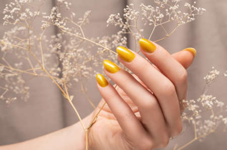 Female hand with glitter yellow nail design. Female hand hold dry autumn flower. Woman hand on beige fabric backgroundの写真素材