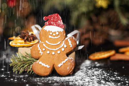 Christmas gingerbread man, sweet dried fruits, fir branch and star anise. Christmas gingerbread man under snowfall.の写真素材