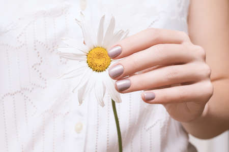 Female hand with glitter pearl nail design. Female in white dress hold yellow chamomile flower. Glitter pearl perfect hand manicure.の写真素材