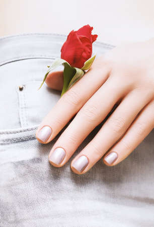 Red rose in woman jeans pocket. Female in gray jeans with red rose close up. Female hand with pearl nail designの写真素材