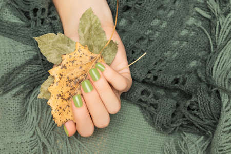 Female hand with glitter green nail design. Female hand hold dry yellow autumn leaves. woman hand on green wool backgroundの写真素材