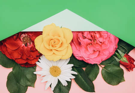 Roses and chamomile flowers frame with pink and green background. mothers day greeting card. Backdrop with copy space.の写真素材