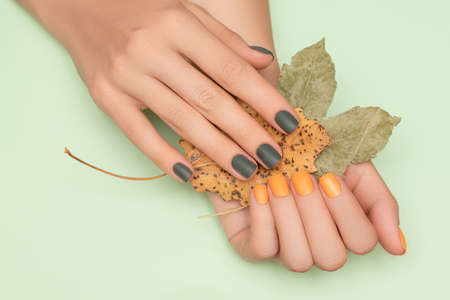 Female hands with green and yellow autumn nail design. Female hands hold dry yellow autumn leaves. Woman hands on pale green backgroundの写真素材
