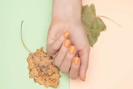 Female hand with yellow autumn nail design. Female hand with dry yellow autumn leaves. Woman hand on pale green and pale orange backgroundの写真素材