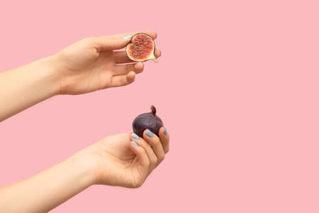 Female hands holding tasty raw fig on pink background, closeup. Raw fig fruit in a female hands. Tropical fruit and female hands concept.の写真素材