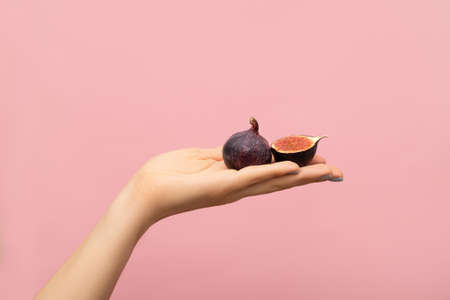Female hand holding tasty raw fig on pink background, closeup. Raw fig fruit on a female hand. Tropical fruit and female hand concept.の写真素材