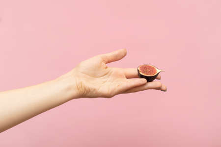 Female hand holding tasty raw fig on pink background, closeup. Raw fig fruit on a female hand. Tropical fruit and female hand concept.の写真素材