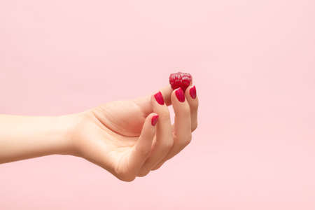 Young female hand hold ripe red raspberry on a fingers. Female hand with raspberry isolated on pink background. Female hand with crimson manicure. Crimson nail designs.の写真素材
