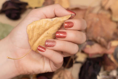 Female hand with red autumn nail design. Woman hand hold dry leaf. Red autumn nail polish manicure with golden glitter. Woman hands on blurry dry autumn leaves background.の写真素材