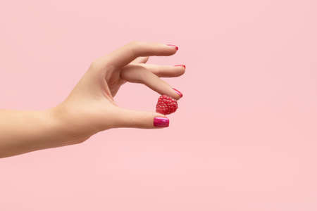 Young female hand hold ripe red raspberry on a fingers. Female hand with raspberry isolated on pink background. Female hand with crimson manicure. Crimson nail designs.の写真素材