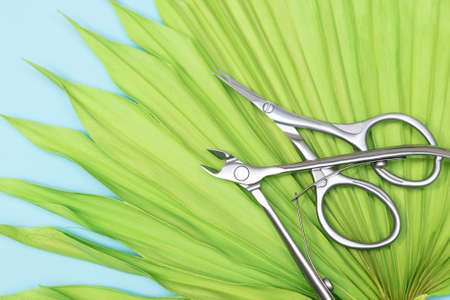 Manicure nippers and scissors on green tropic leaves on blue background. Nail care equipment. Stainless steel nippers and scissors on blue background.の写真素材