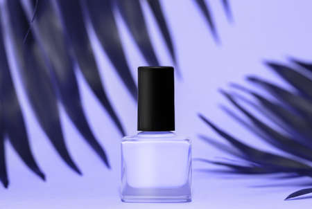 Purple nail polish bottle with tropical leaves on purple background. Purple tropical nail polish bottle on purple background. copyspace.の写真素材