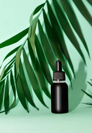 Bottle of essential oil on a green tropical background. Essential oil bottle with tropical leaves....