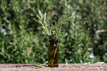 Glass bottle of essential rosemary oil with rosemary branch in it on floral background. Herbal oil conceptの写真素材