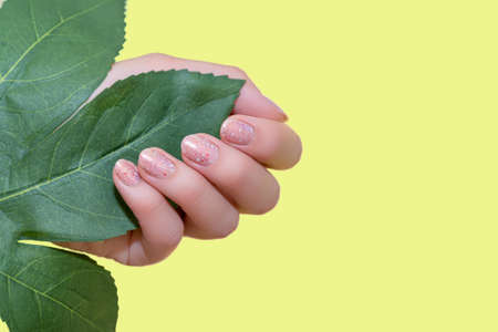 Female hand with summer nail design. Glitter pink nail polish manicure. Hand with pink manicure hold green leafの写真素材