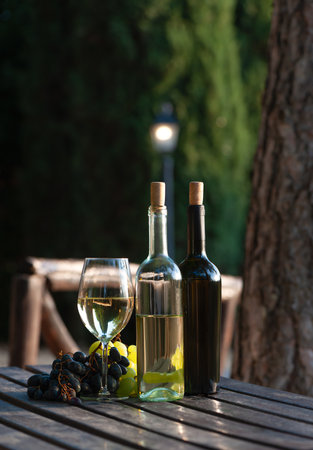 Bottles of white and red wine standing on wooden table. Wine bottles and sweet white and red grapes on a table outdoors. Evening Italy wine tasting concept.の写真素材