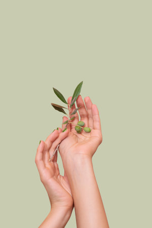 Female hands with olive nail design. Glitter green nail polish manicure. Female hands hold in a palms green olive branch on green background. Copy space. Place for text.の写真素材
