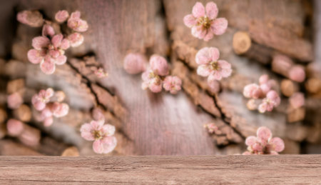 Wooden desk for product display with blured sakura blossom on background. Template mock up for display of product. Copy space.の写真素材