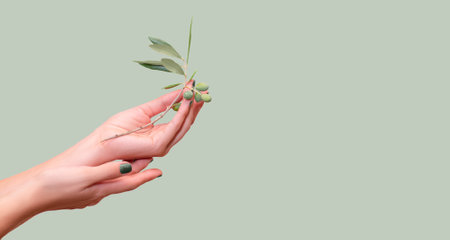 Female hands with olive nail design. Glitter green nail polish manicure. Female hand hold in a palm green olive branch on green background. Copy space. Place for text.の写真素材