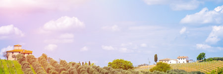 Tuscany landscape panorama shot, vineyards, hills and meadow. Even rows of vineyard under a blue sky wtih white clouds and sun glare. Copy space. Place for text. Banner ad. Advertising banner template.の写真素材