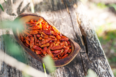 Hot spicy chili pepers in olive garden. Close up of dried red dry chili pepers in a wooden bowl on a...