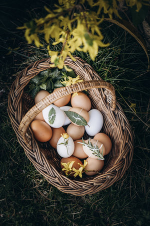 Brown and white eggs in wicker basket on green grass background. Easter eggs basket. Chicken eggs in a basket stand in the garden. Spring holidays.の写真素材
