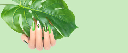 Female hand with vacation stiletto nail design. Glitter green nail polish manicure with rhinestones spider nail art. Female model hand hold tropic leaf on green background. Copy space. Place for text.の写真素材
