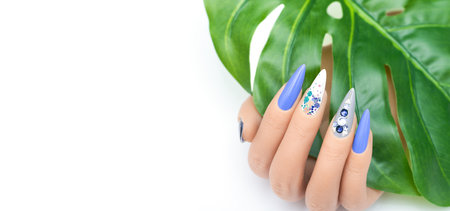 Female hand with vacation stiletto nail design. Glitter blue nail polish manicure with rhinestones and glitter nail art. Female model hand hold tropic leaf on white background. Copy spaceの写真素材