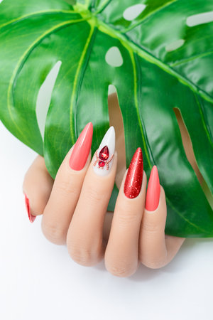Female hand with vacation stiletto nail design. Glitter red nail polish manicure with rhinestones spider nail art. Female model hand hold tropic leaf on white background. Copy space. Place for text.の写真素材