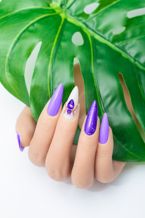 Female hand with vacation stiletto nail design. Glitter purple nail polish manicure with rhinestones spider nail art. Female model hand hold tropic leaf on white background. Copy space. Place for textの写真素材