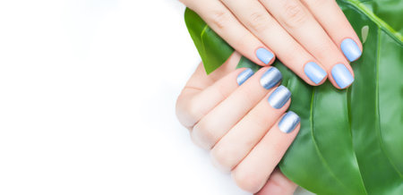 Nail design background. Nail art postcard. Female hands with blue nail design hold tropic leaf on white background. Glitter green manicure. Copy space. Place for text.の写真素材