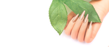 Female hand with stiletto nail design. Beige glitter nail polish manicure. Female hand with perfect manicure on white backgroundの写真素材