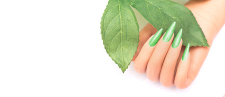 Female hand with stiletto nail design. Glitter green nail polish manicure. Female hand with perfect manicure on white backgroundの写真素材
