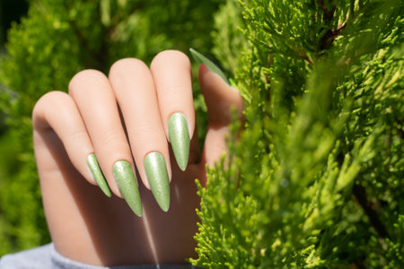 Female hand with long nails with glitter nail polish. Long green nail design. Woman hand with green manicure on tropical background.の写真素材